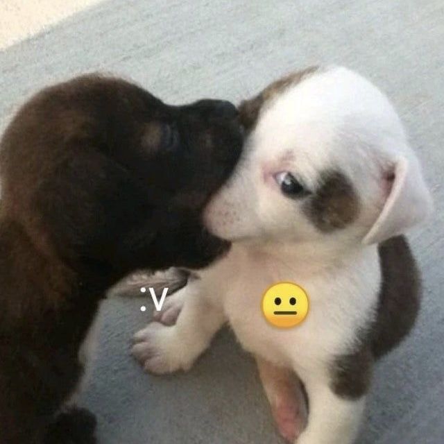 This image has an empty alt attribute; its file name is f09386a9e29cbff09386aa.jpg